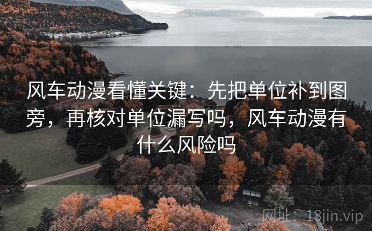 风车动漫看懂关键：先把单位补到图旁，再核对单位漏写吗，风车动漫有什么风险吗