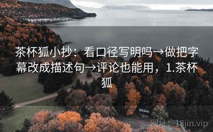 茶杯狐小抄：看口径写明吗→做把字幕改成描述句→评论也能用，1.茶杯狐